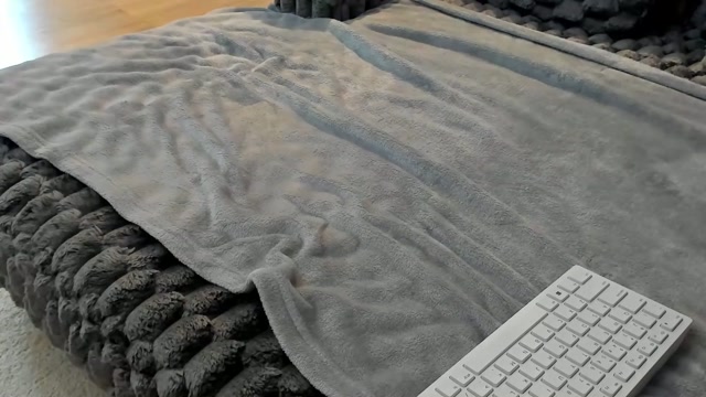 legswattitude 2026-03-11 08:49:21