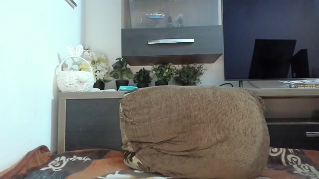 mellbell_ 2026-03-18 00:21:26