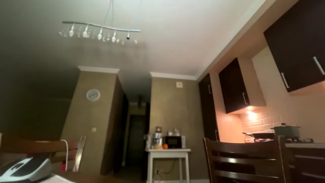 _morpho_ 2026-03-12 19:29:28