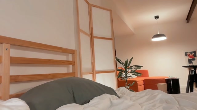 ocicat 2026-03-02 02:19:54