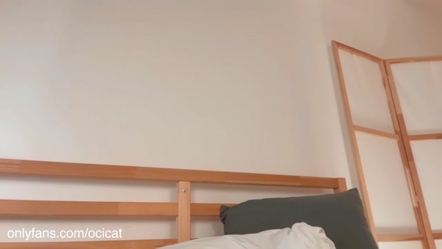 ocicat 2026-03-04 01:06:36