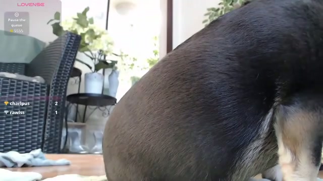 squirtmanica 2026-03-14 12:21:33