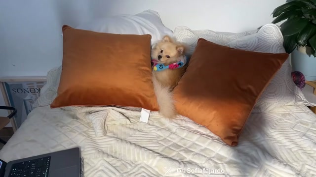 sweet_littleee 2026-03-11 20:24:48