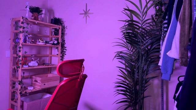 vixenp 2026-03-10 01:24:06