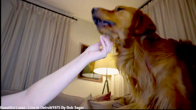 x_lily_x 2026-03-10 00:23:41