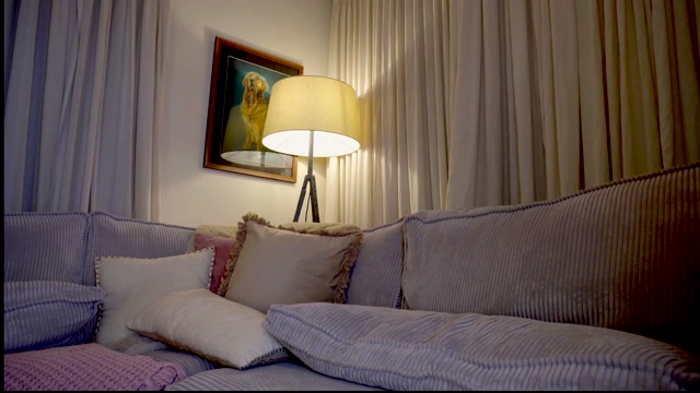 x_lily_x 2026-03-24 03:43:58