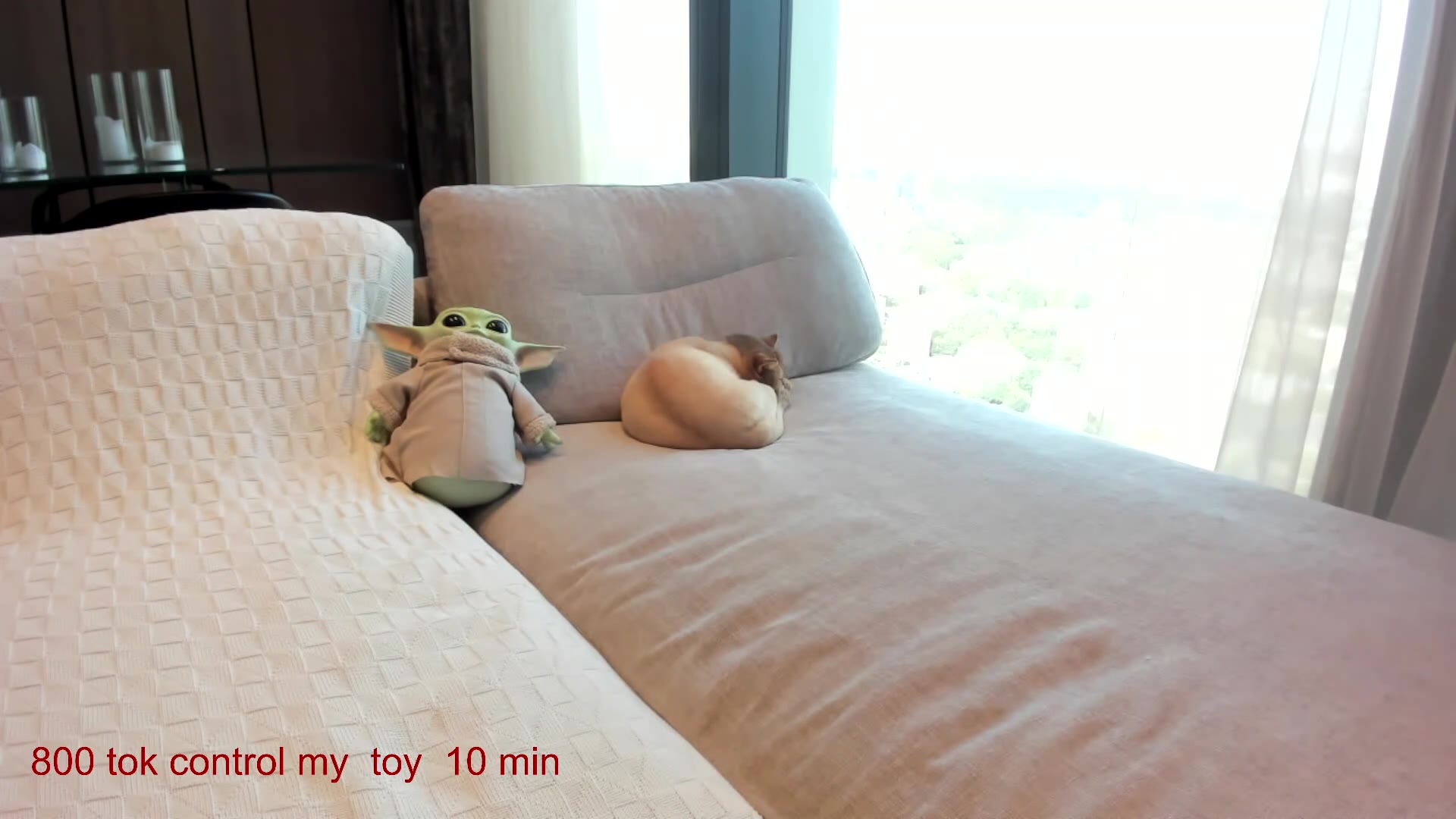 carolinaherera 2026-04-14 10:10:42