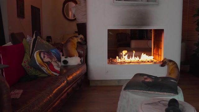 nuryforerogh 2026-04-07 05:18:30