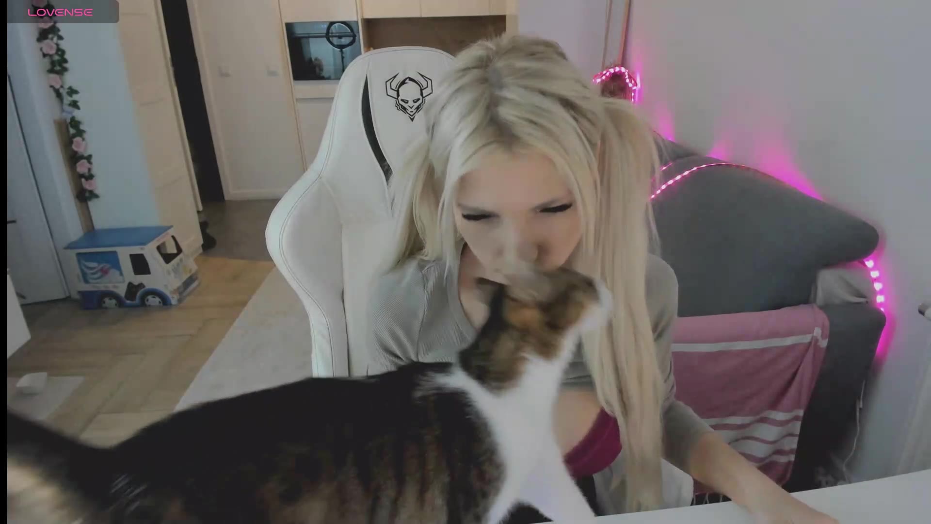 sugar_rainbow 2026-04-11 06:23:25