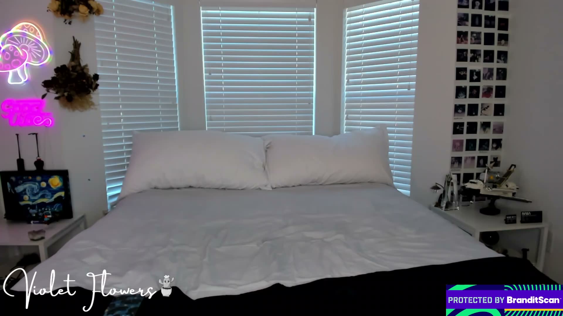 violetttflowers 2026-04-27 21:55:08