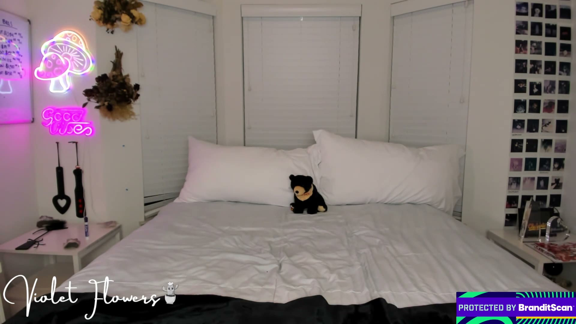 violetttflowers 2026-04-28 10:06:02