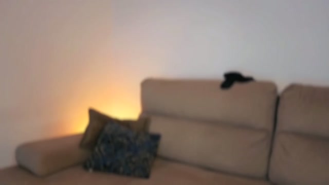 sexyyceline 2026-05-04 21:54:16