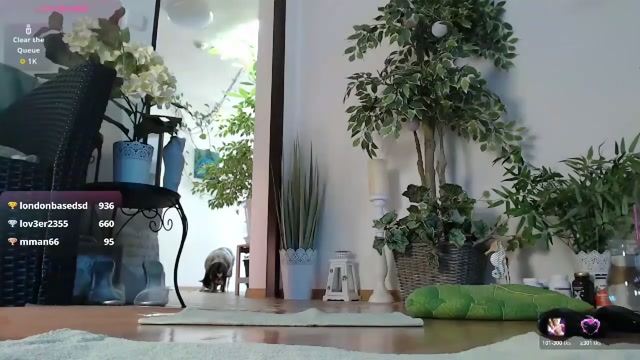 squirtmanica 2026-05-02 12:56:43