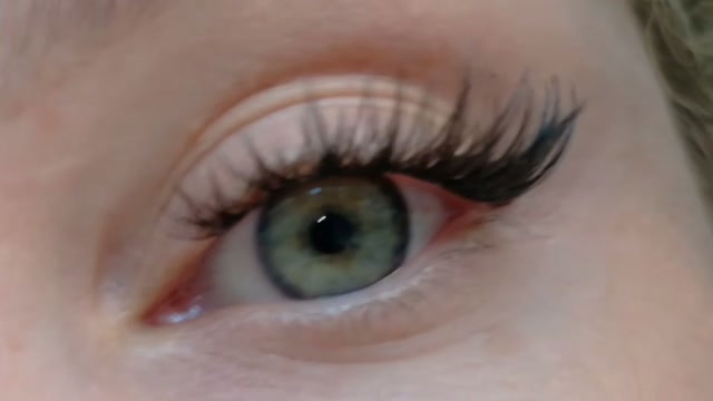 theislandgirl 2026-05-23 20:34:22
