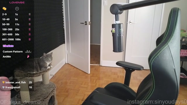 alexa_dream 2026-06-11 02:17:04