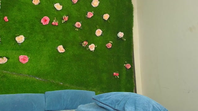 megatitts_ 2026-06-07 21:32:37